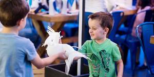 24177190_1478469615534472_6676009754302446511_n_1513075320