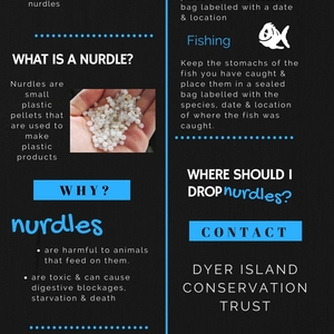 Nurdle_poster_2__1513077305