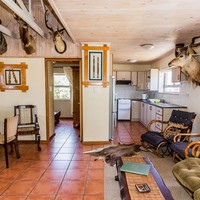 Dining and living area