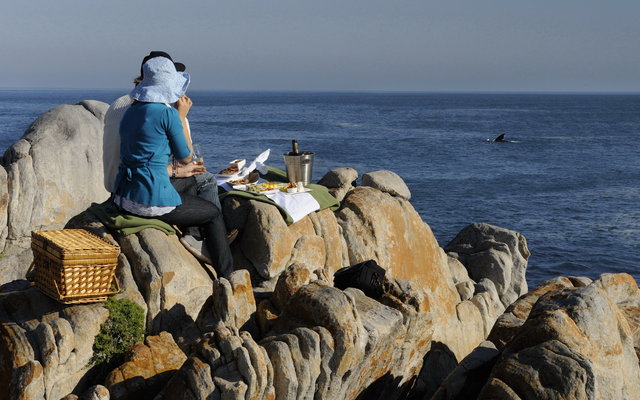 Whale_watching_in_Gansbaai_1513672922