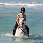 #horseridespearlybeach