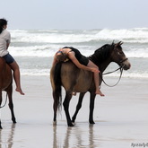 #gansbaaipearlybeachhorsetrails