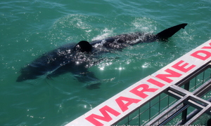 Blog Update - 03 January 2018