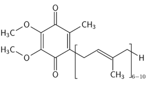 What is Coenzyme Q10 (CoQ10)?