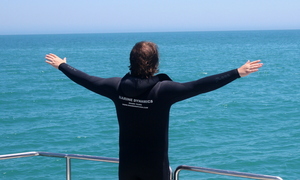 Blog Update - 11 January 2018