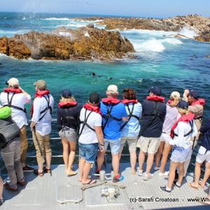 1_IMG_0347_1515745340