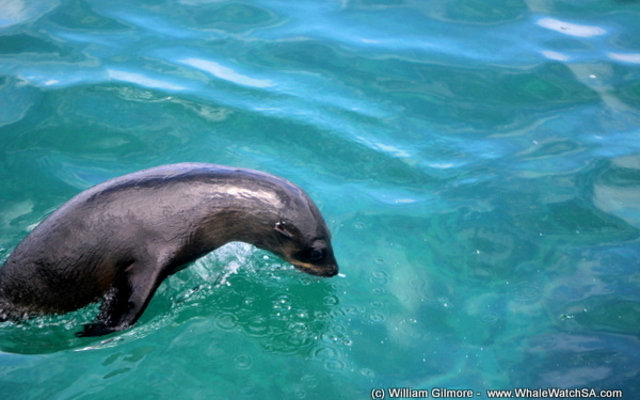 1_IMG_1392_1516352416