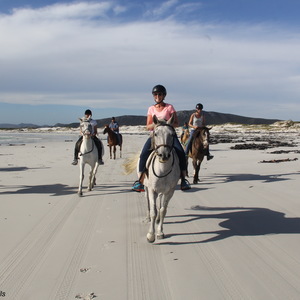 Pearly Beach Horse Trails