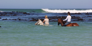 Pearly Beach Horse Trails