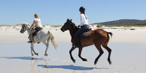 Pearly Beach Horse Trails