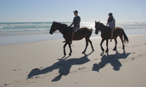 Give yourself a break!