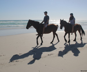 Give yourself a break!