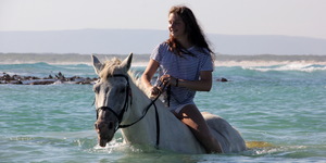Pearly Beach Horse Trails