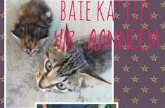 26992511_1364753610301472_3805573263030191392_n_1516613936