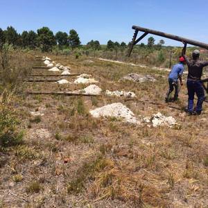 panthera1_1516614153