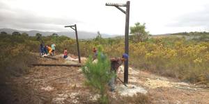 panthera3_1516614155