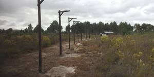 panthera4_1516614156