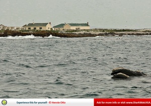 The Houses of Dyer Island