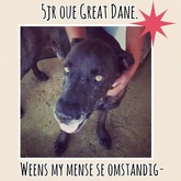 Bismarck - opsoek na n liefdevolle huis