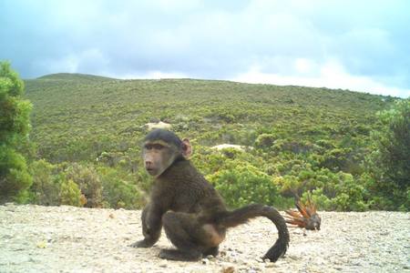 26992180_1900677846618806_6133448236797051310_n_1516796143