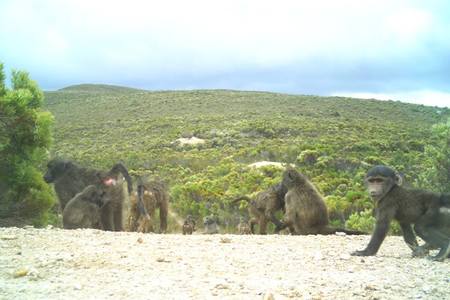 26993261_1900677249952199_3834210232433788324_n_1516796144