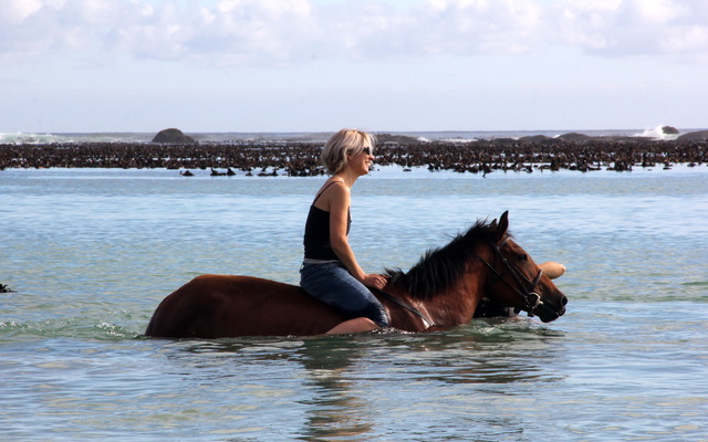 Exclusive Champagne Trail