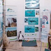 Whale and penguin display