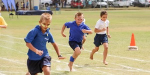 IMG_20180202_WA0013_1517582027