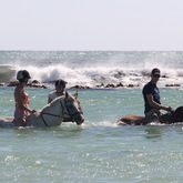 #horseridespearlybeach