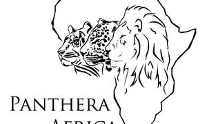 Update: Our New Cheetah Camp