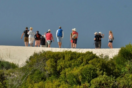 de_hoop_dune_1518443351