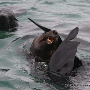 1_1M8A2631_580x363_1518700178