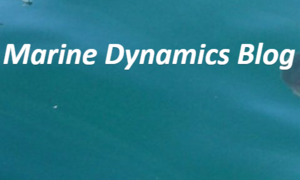 Daily Blog 15 February 2018