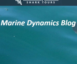 Daily Blog 15 February 2018