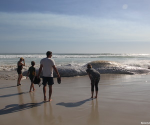 Cape of â€œAll Weatherâ€...