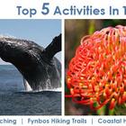 Top 5 activities in the area