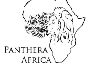 A Lion's nose is absolutely incredible!