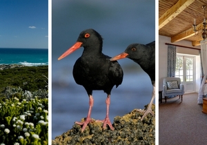 De Hoop Bucket List For 2018