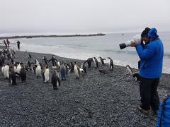 27 February 2018 - Marine Evening