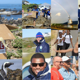 Celebrating three years of setting African penguins and other seabirds FREE. The African Penguin & Seabird Sanctuary is a place of hope and smiles. A place where penguins and people meet. We rescue, rehabilitate and release. We educate. We make a difference. Stay with us on this journey, the best is yet to come.