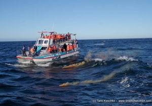 HMS Birkenhead Memorial 2018