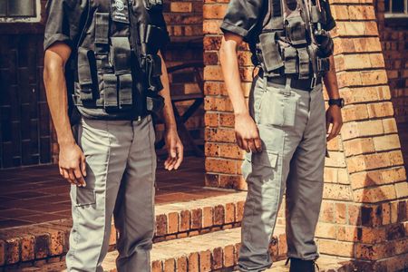 Wagte_8_preview_1519829997