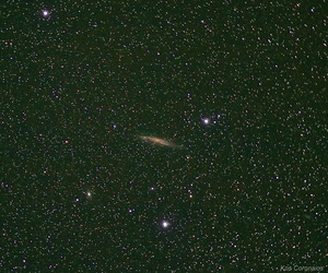 Stargazing Evening (17 March 2018)