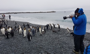 SUB-ANTARCTIC ISLANDS OF NEW ZEALAND