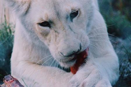 28870919_1706014916150093_5402096907268915200_n_1520855113