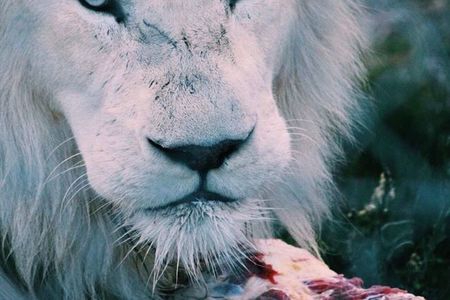 28959409_1706014912816760_9222418644309377024_n_1520855161