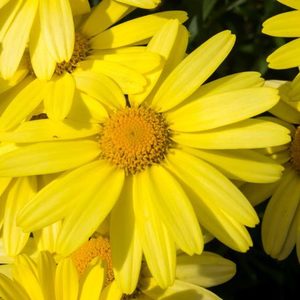 534366955_XS_1520857543