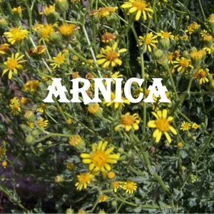 arnica_1_638_1520857544