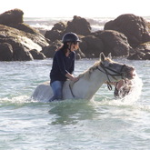 #gansbaaipearlybeachhorsetrails