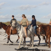 #gansbaaipearlybeachhorsetrails